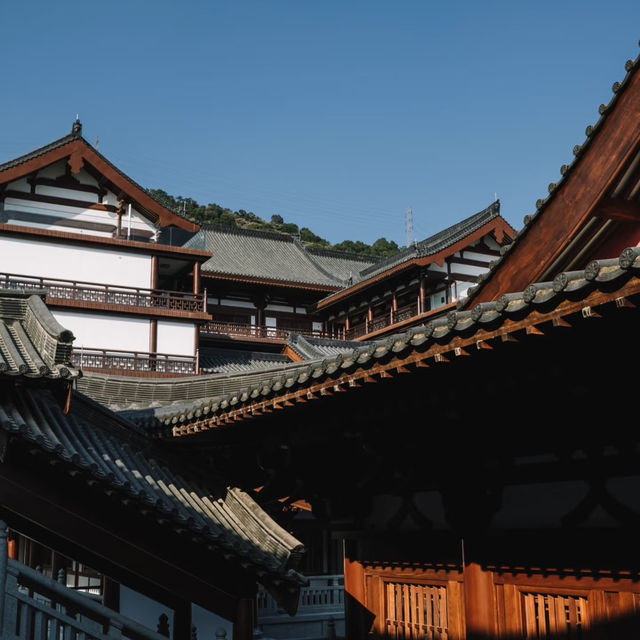 What is Chan Buddhism? Origin, Philosophy & Practice Guide